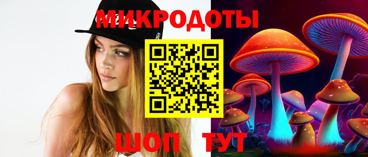 Псилоцибиновые грибы GOLDEN TEACHER  Вход с VPN  Псилоцибиновые грибы прущие грибы  Тимашёвск 