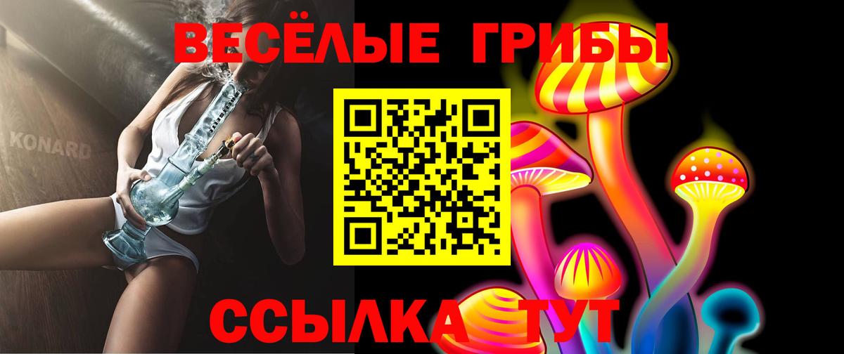 Псилоцибиновые грибы Cubensis Тимашёвск